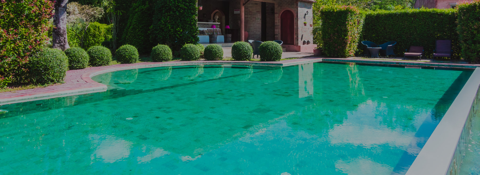 Green Pool Cleaning | Get Your Green Pool Cleaned Today!