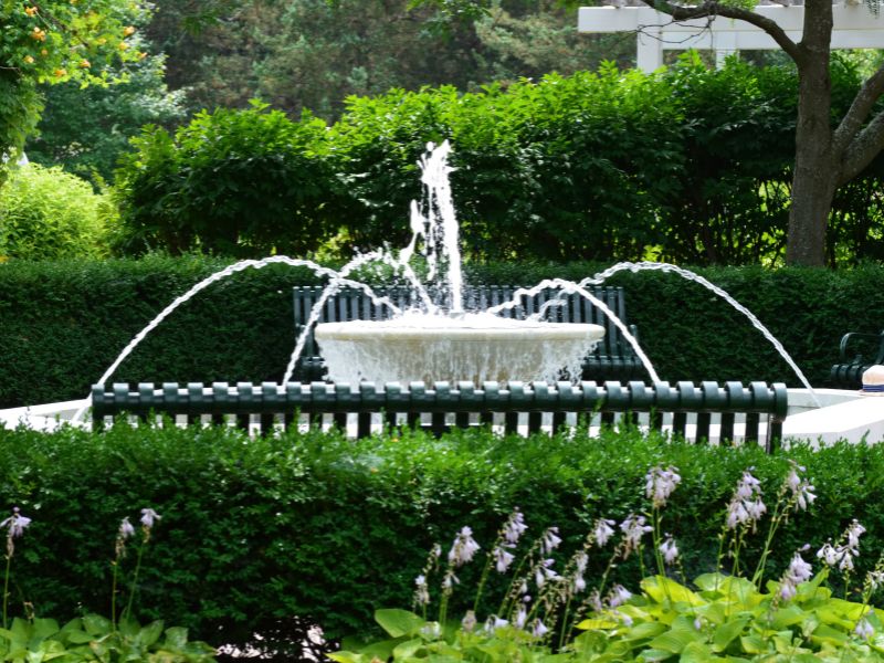 Fountain Cleaning | Transparent Pool Services